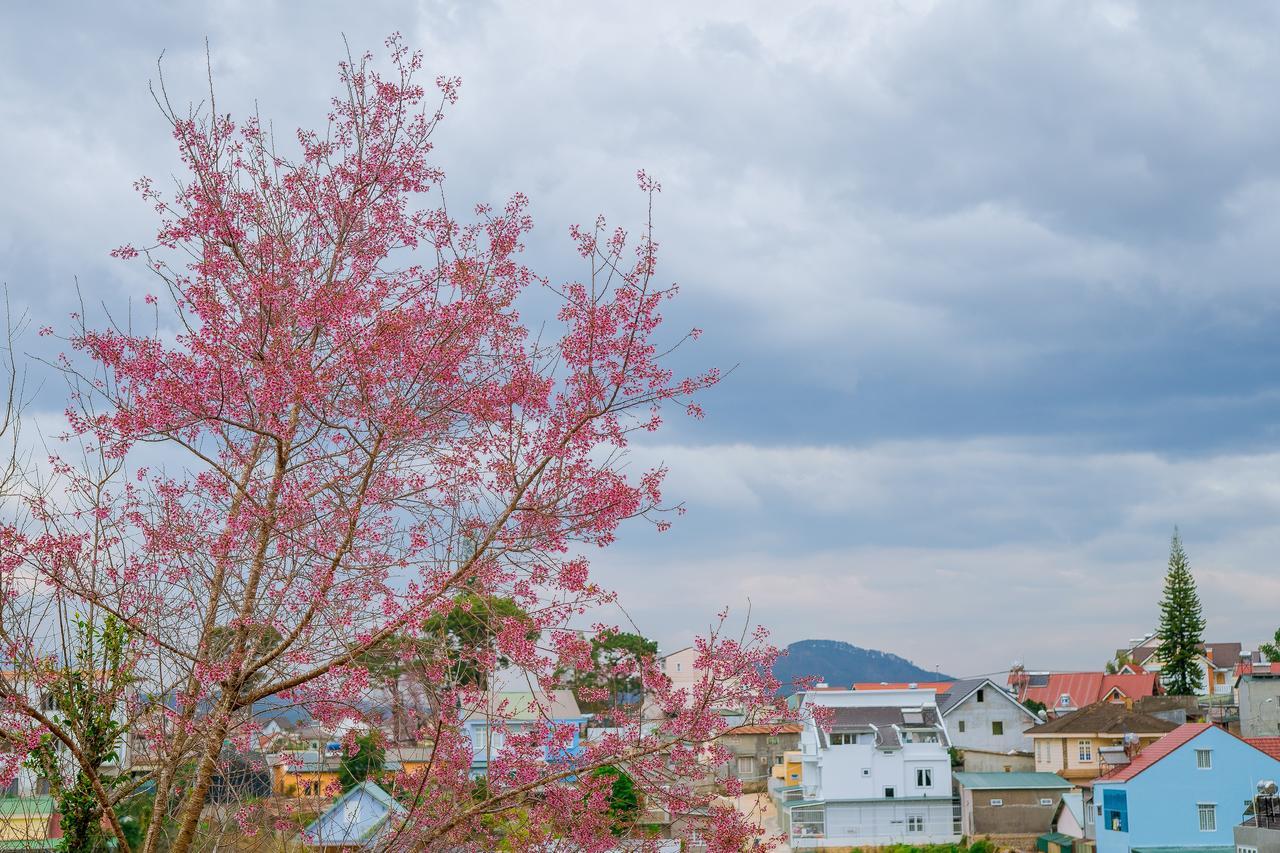 Appartamento Ruby House Da Lat Esterno foto